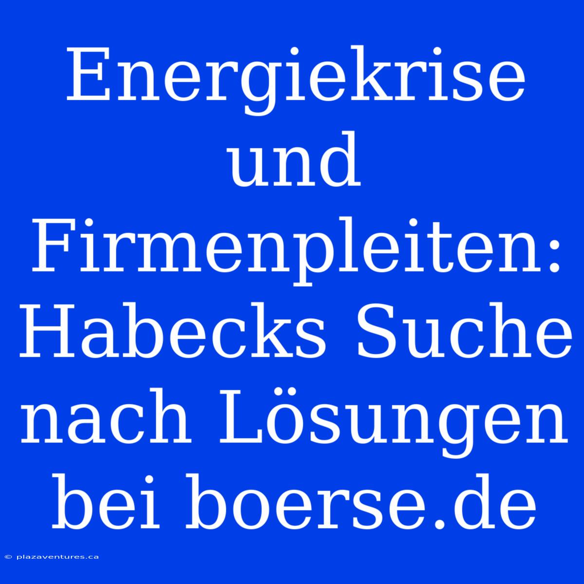 Energiekrise Und Firmenpleiten: Habecks Suche Nach Lösungen Bei Boerse.de