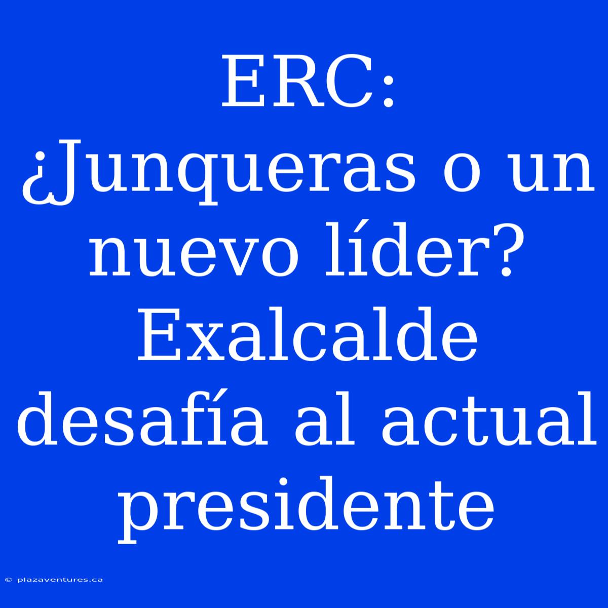 ERC: ¿Junqueras O Un Nuevo Líder? Exalcalde Desafía Al Actual Presidente