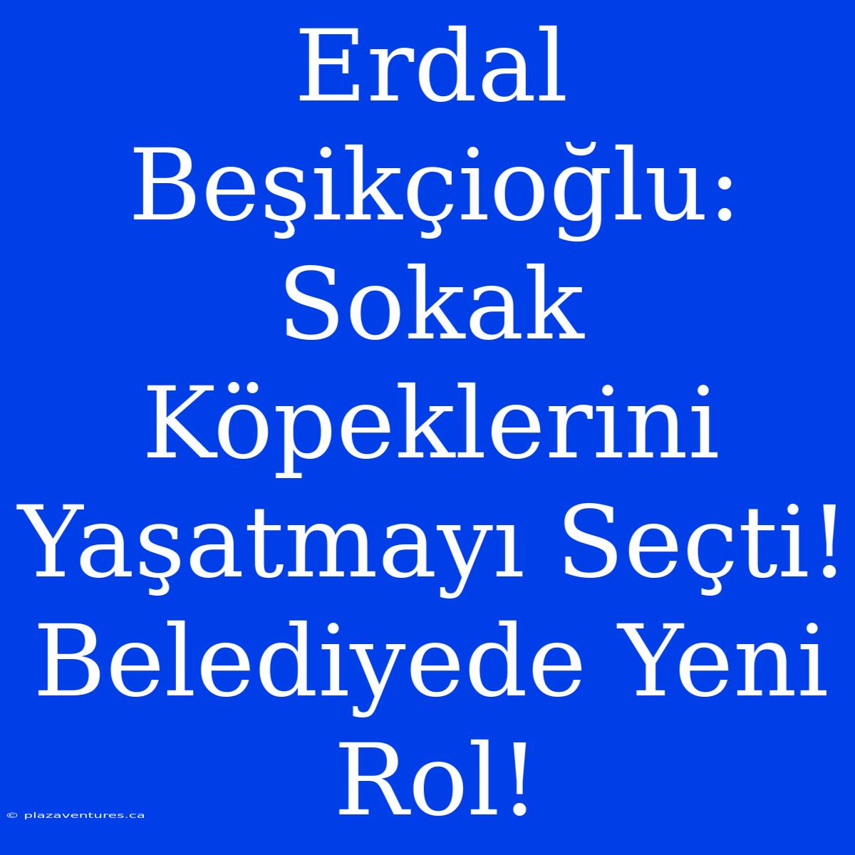 Erdal Beşikçioğlu: Sokak Köpeklerini Yaşatmayı Seçti! Belediyede Yeni Rol!