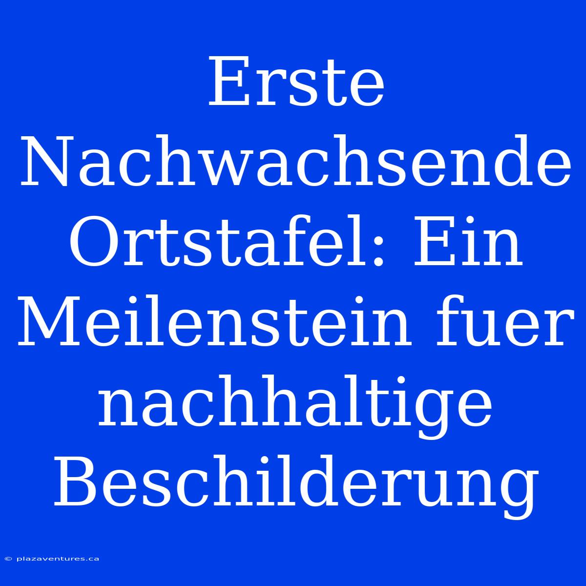 Erste Nachwachsende Ortstafel: Ein Meilenstein Fuer Nachhaltige Beschilderung