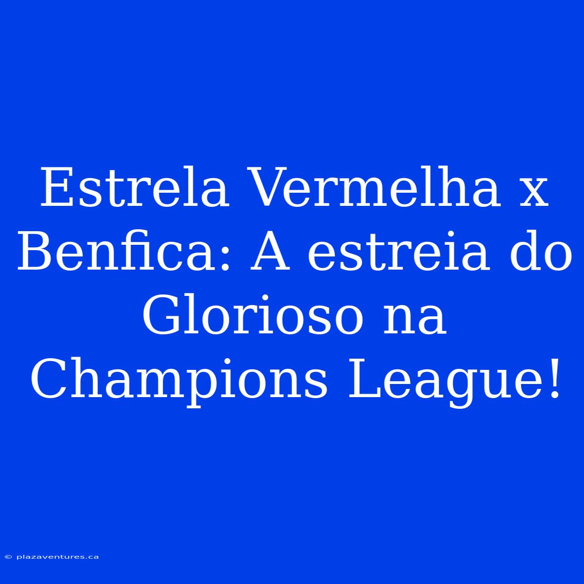 Estrela Vermelha X Benfica: A Estreia Do Glorioso Na Champions League!