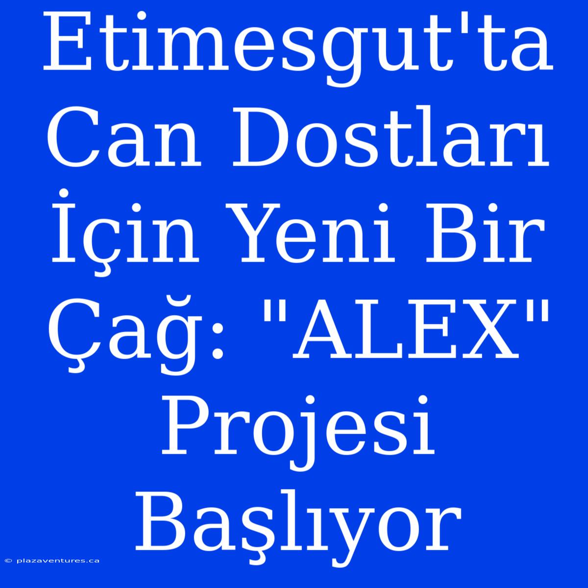 Etimesgut'ta Can Dostları İçin Yeni Bir Çağ: 