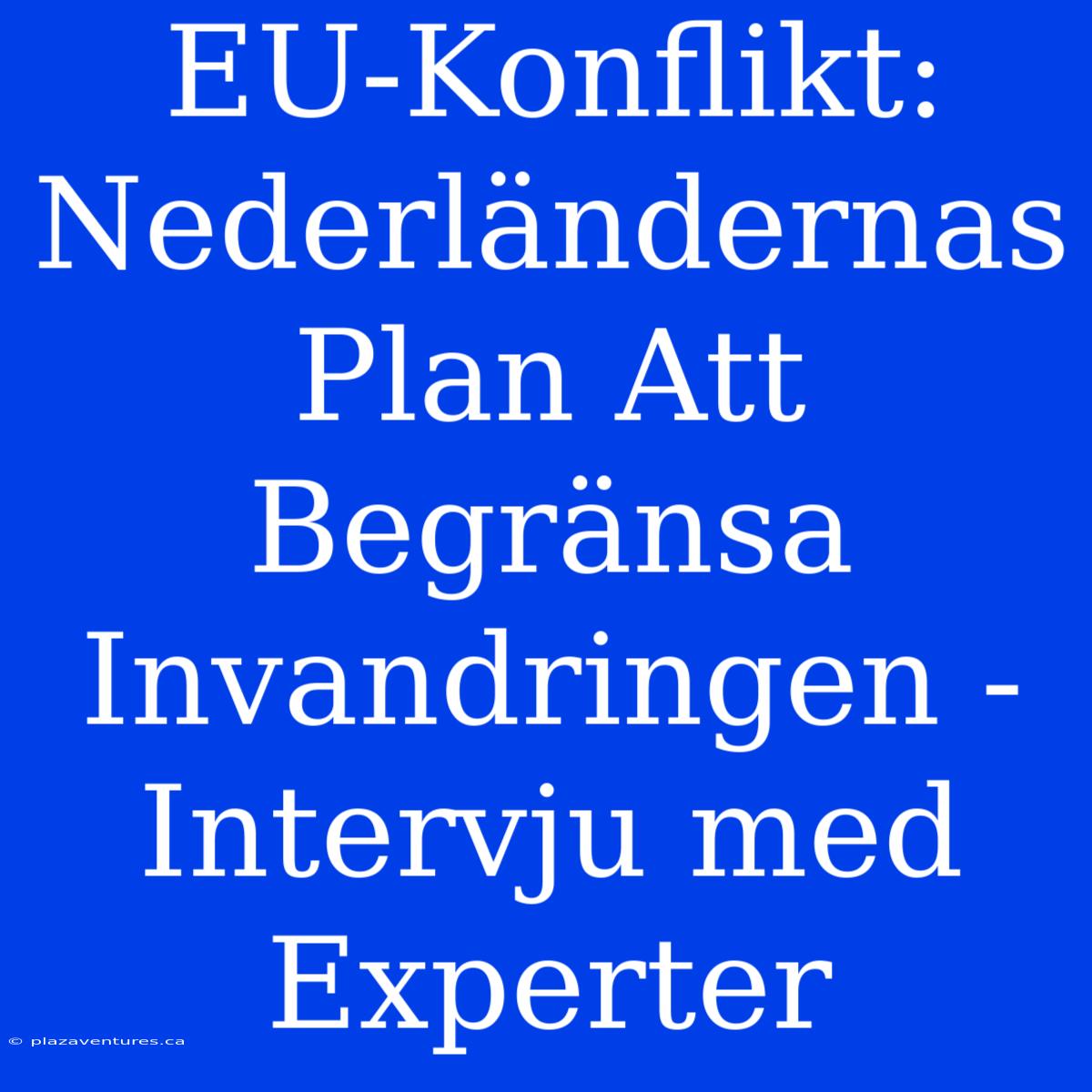 EU-Konflikt: Nederländernas Plan Att Begränsa Invandringen - Intervju Med Experter