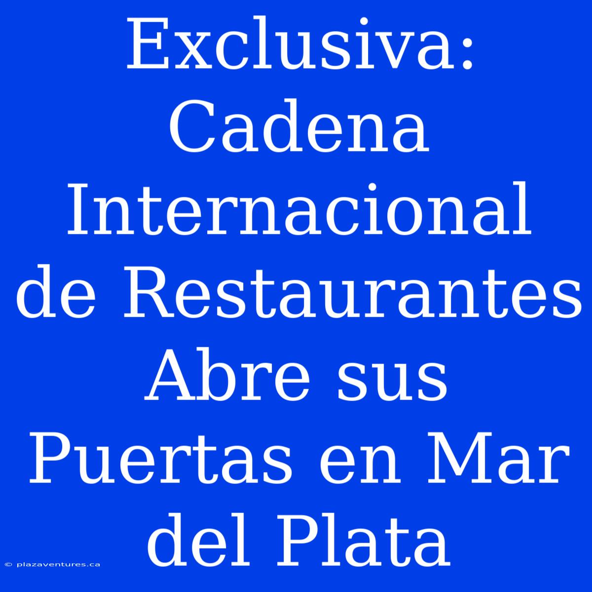 Exclusiva: Cadena Internacional De Restaurantes Abre Sus Puertas En Mar Del Plata