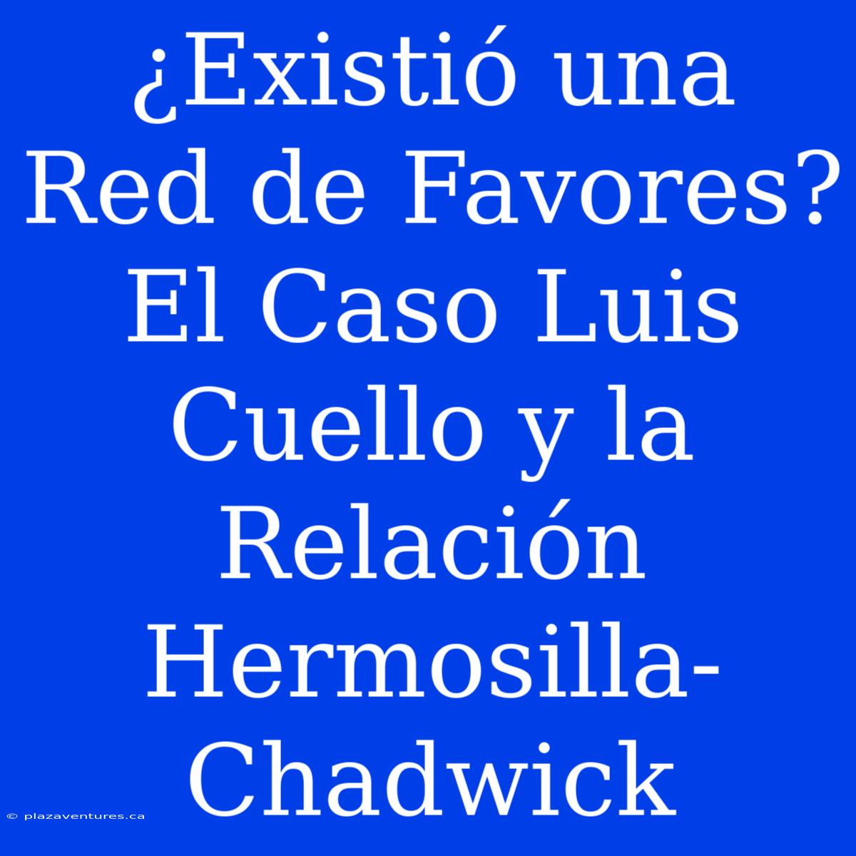 ¿Existió Una Red De Favores? El Caso Luis Cuello Y La Relación Hermosilla-Chadwick