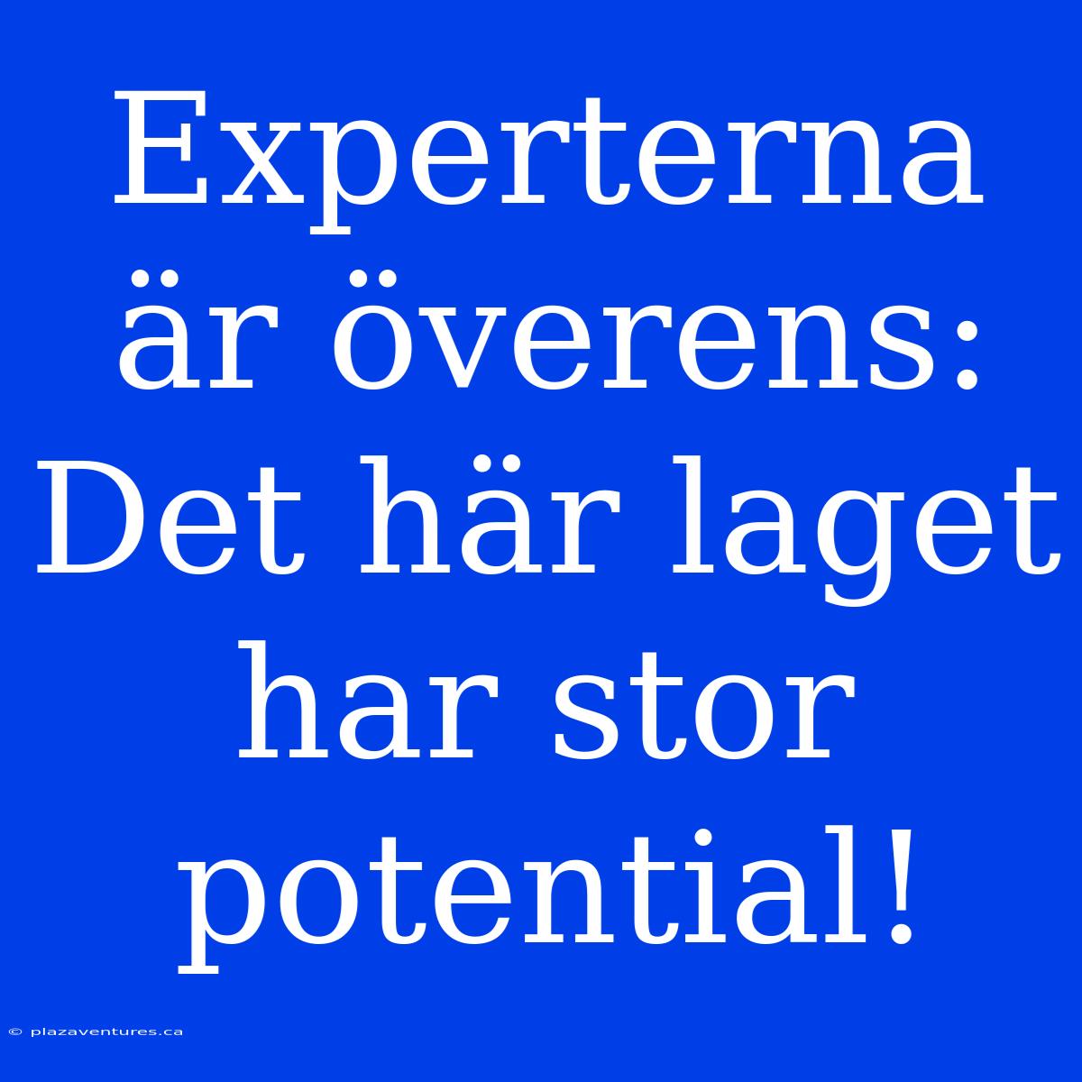 Experterna Är Överens: Det Här Laget Har Stor Potential!