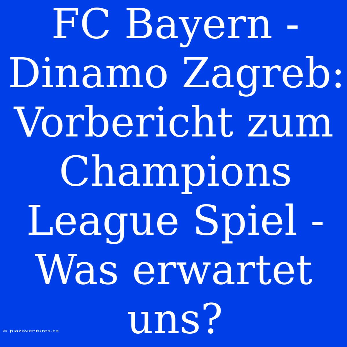 FC Bayern - Dinamo Zagreb: Vorbericht Zum Champions League Spiel - Was Erwartet Uns?