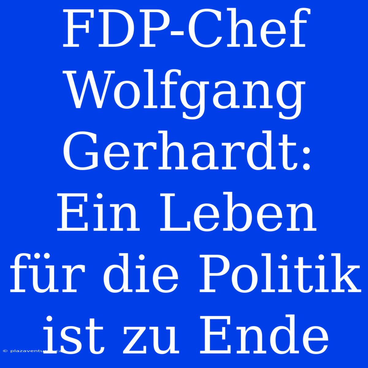 FDP-Chef Wolfgang Gerhardt: Ein Leben Für Die Politik Ist Zu Ende