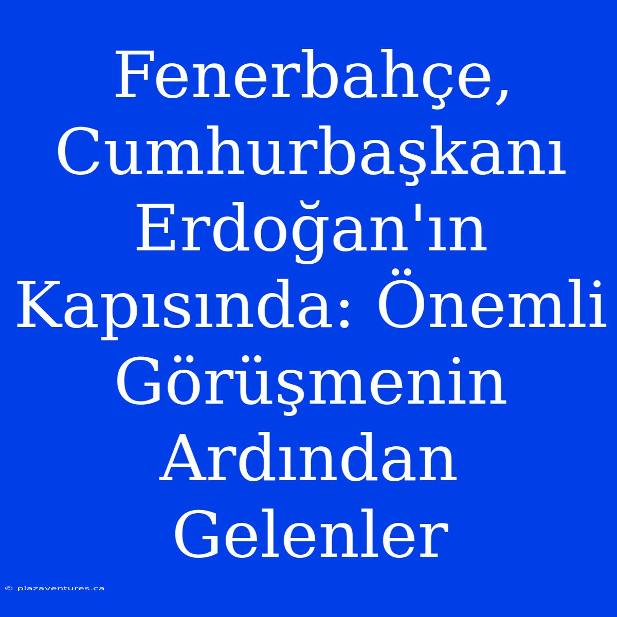 Fenerbahçe, Cumhurbaşkanı Erdoğan'ın Kapısında: Önemli Görüşmenin Ardından Gelenler