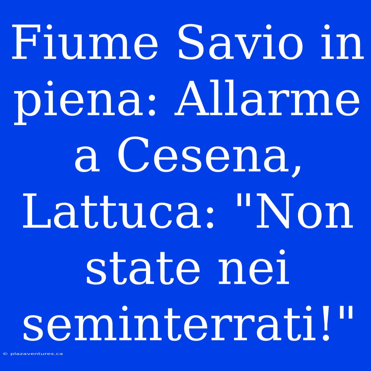 Fiume Savio In Piena: Allarme A Cesena, Lattuca: 