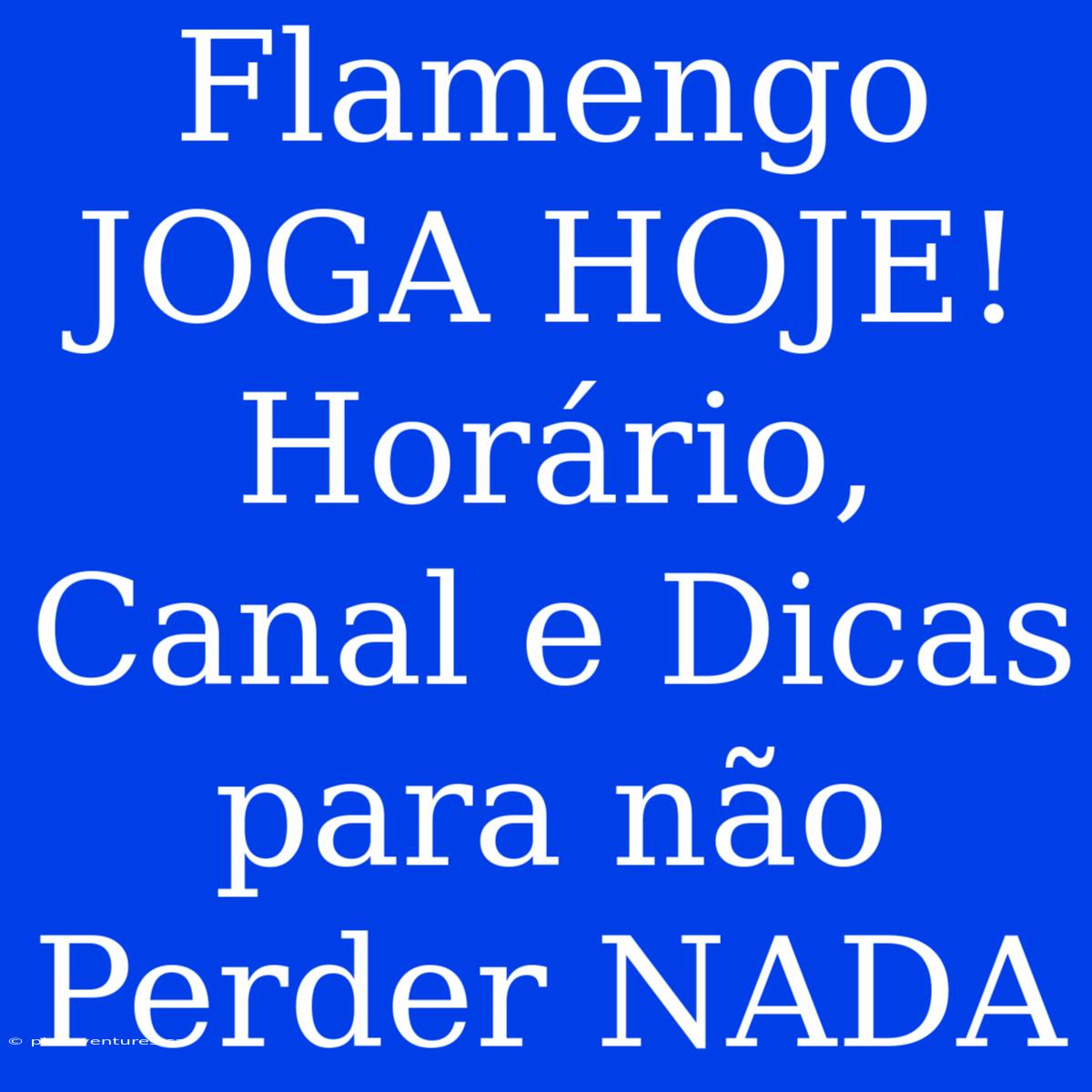 Flamengo JOGA HOJE! Horário, Canal E Dicas Para Não Perder NADA