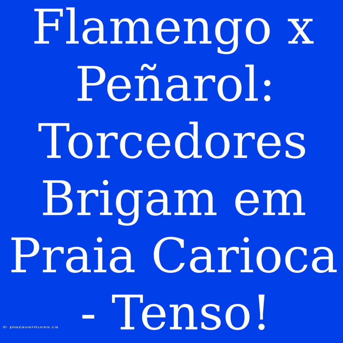 Flamengo X Peñarol: Torcedores Brigam Em Praia Carioca - Tenso!