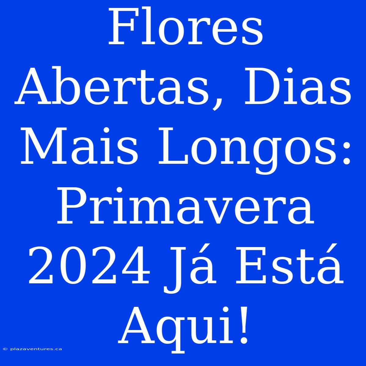 Flores Abertas, Dias Mais Longos: Primavera 2024 Já Está Aqui!