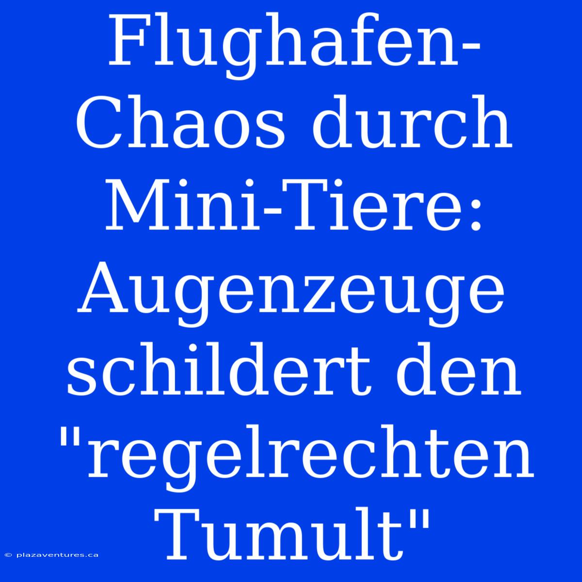 Flughafen-Chaos Durch Mini-Tiere: Augenzeuge Schildert Den 