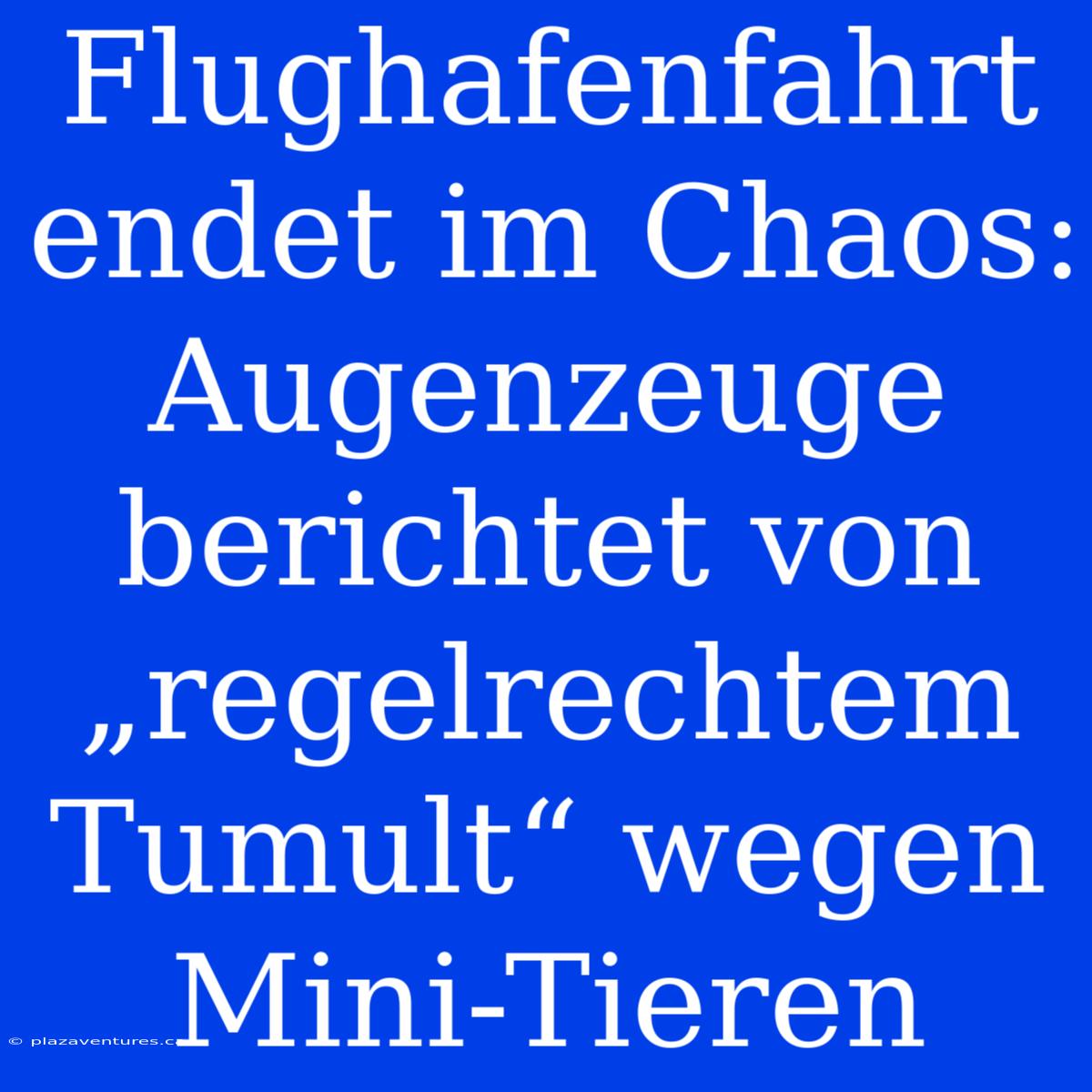 Flughafenfahrt Endet Im Chaos: Augenzeuge Berichtet Von „regelrechtem Tumult“ Wegen Mini-Tieren