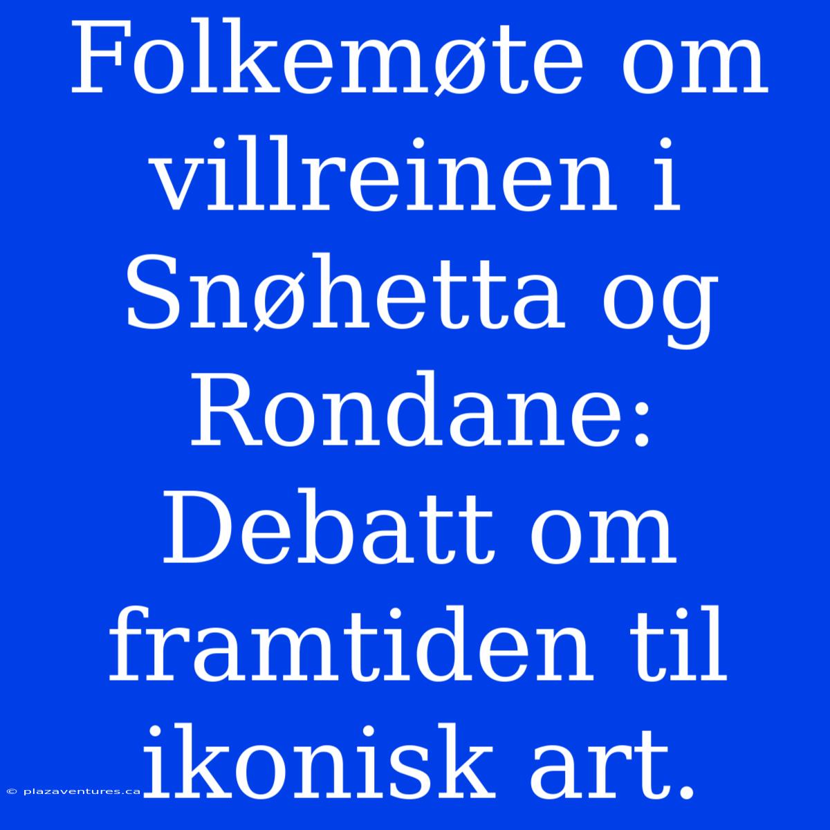 Folkemøte Om Villreinen I Snøhetta Og Rondane: Debatt Om Framtiden Til Ikonisk Art.