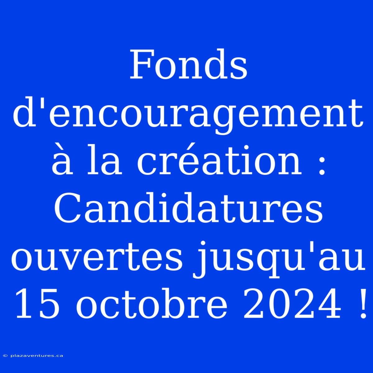 Fonds D'encouragement À La Création : Candidatures Ouvertes Jusqu'au 15 Octobre 2024 !