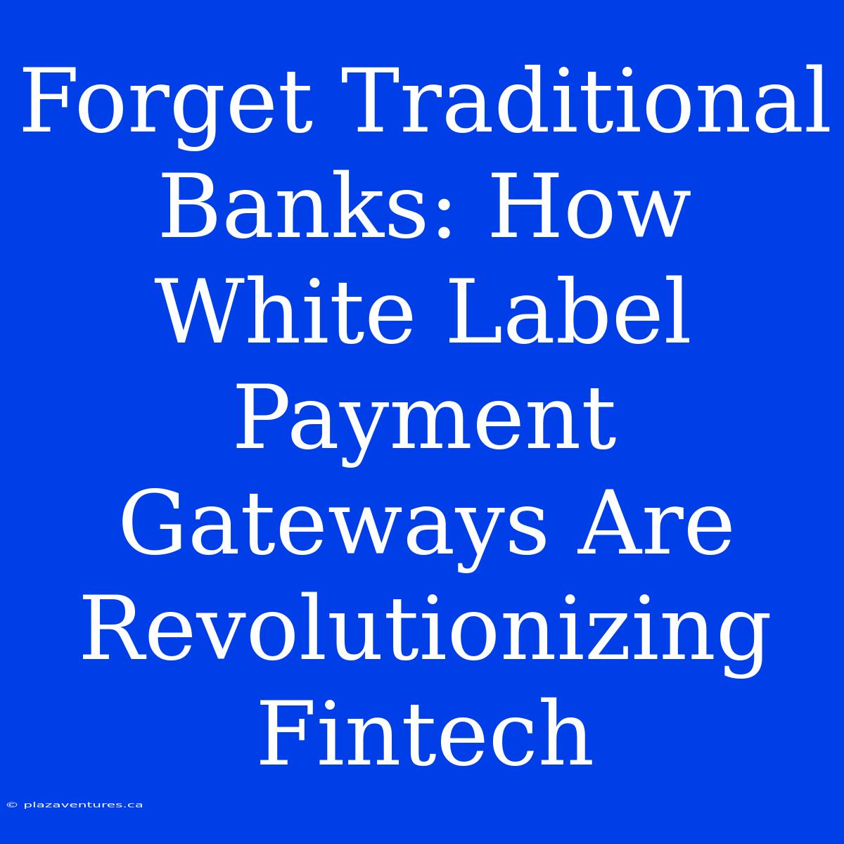 Forget Traditional Banks: How White Label Payment Gateways Are Revolutionizing Fintech