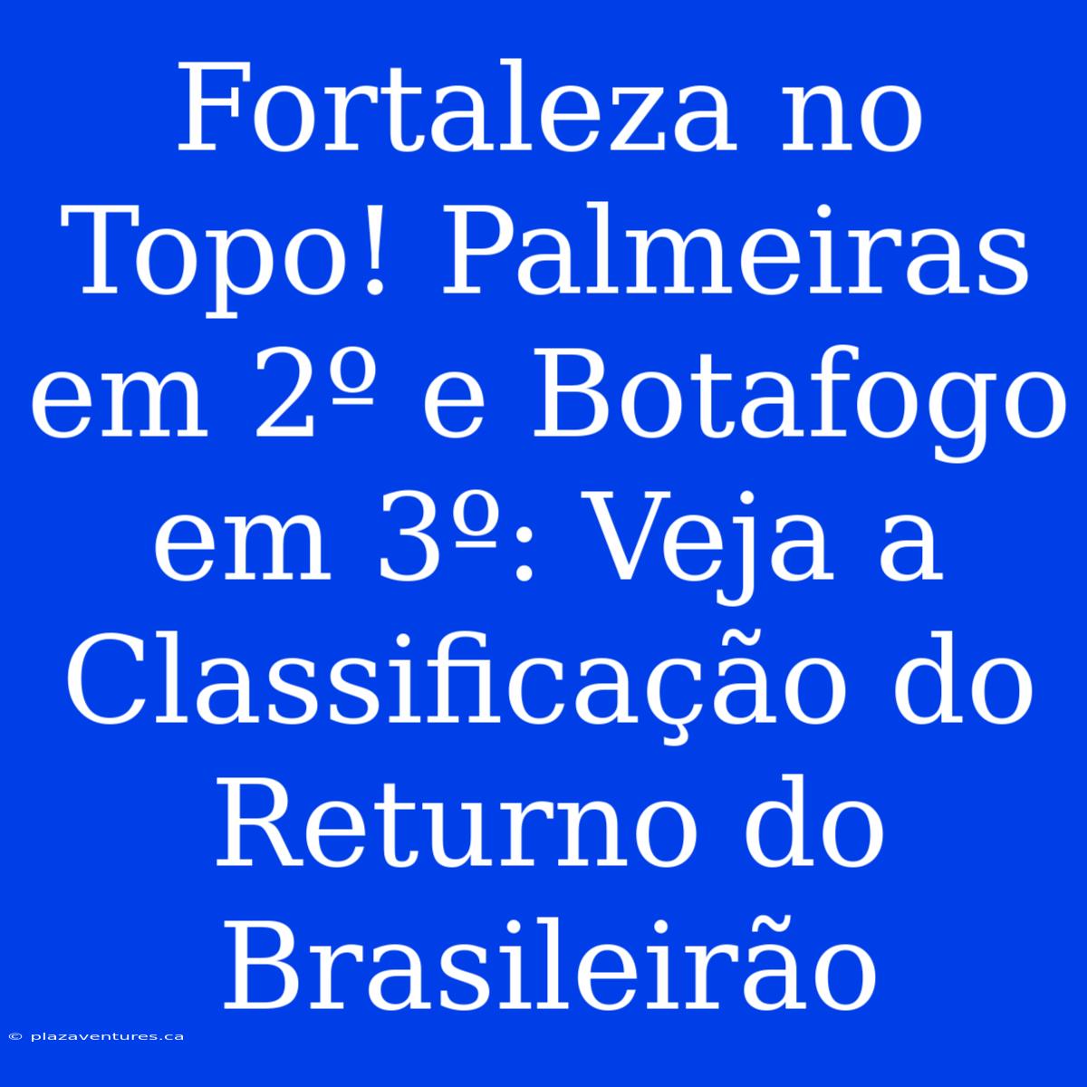 Fortaleza No Topo! Palmeiras Em 2º E Botafogo Em 3º: Veja A Classificação Do Returno Do Brasileirão