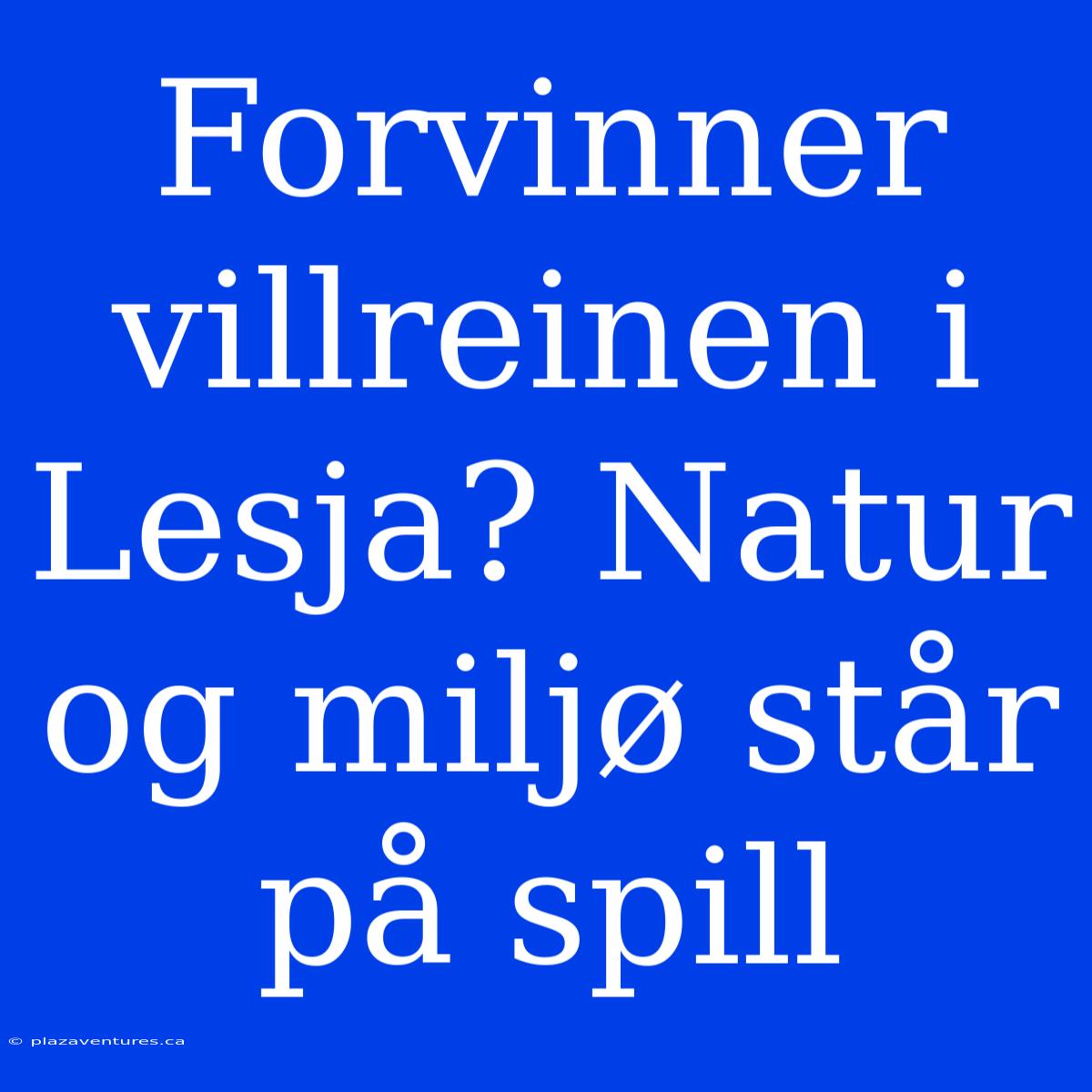 Forvinner Villreinen I Lesja? Natur Og Miljø Står På Spill