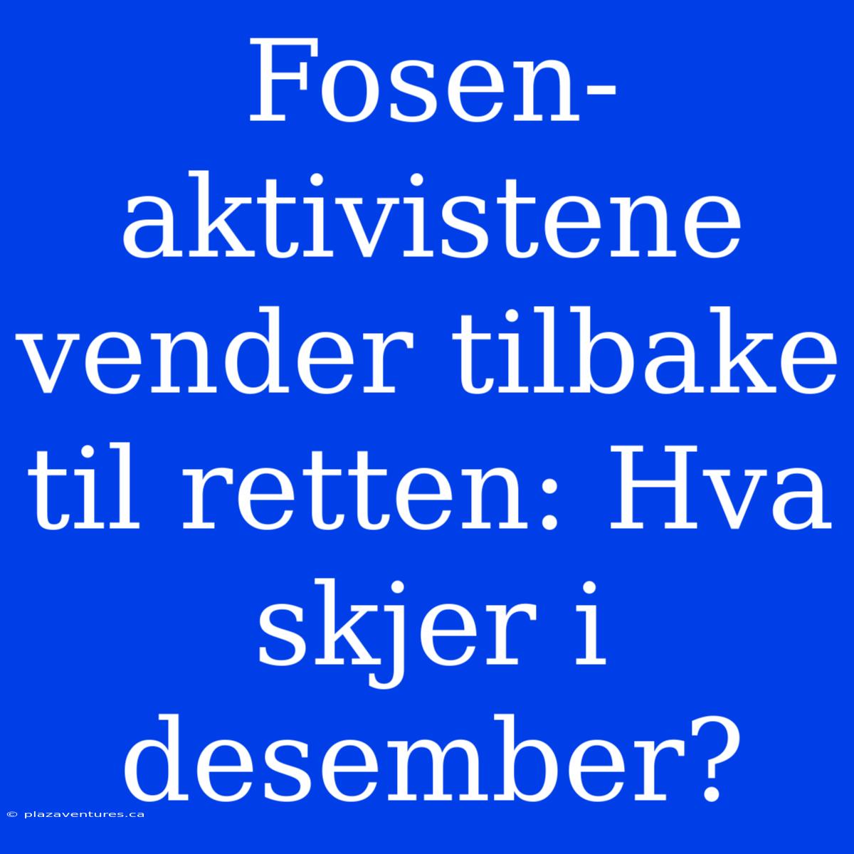 Fosen-aktivistene Vender Tilbake Til Retten: Hva Skjer I Desember?