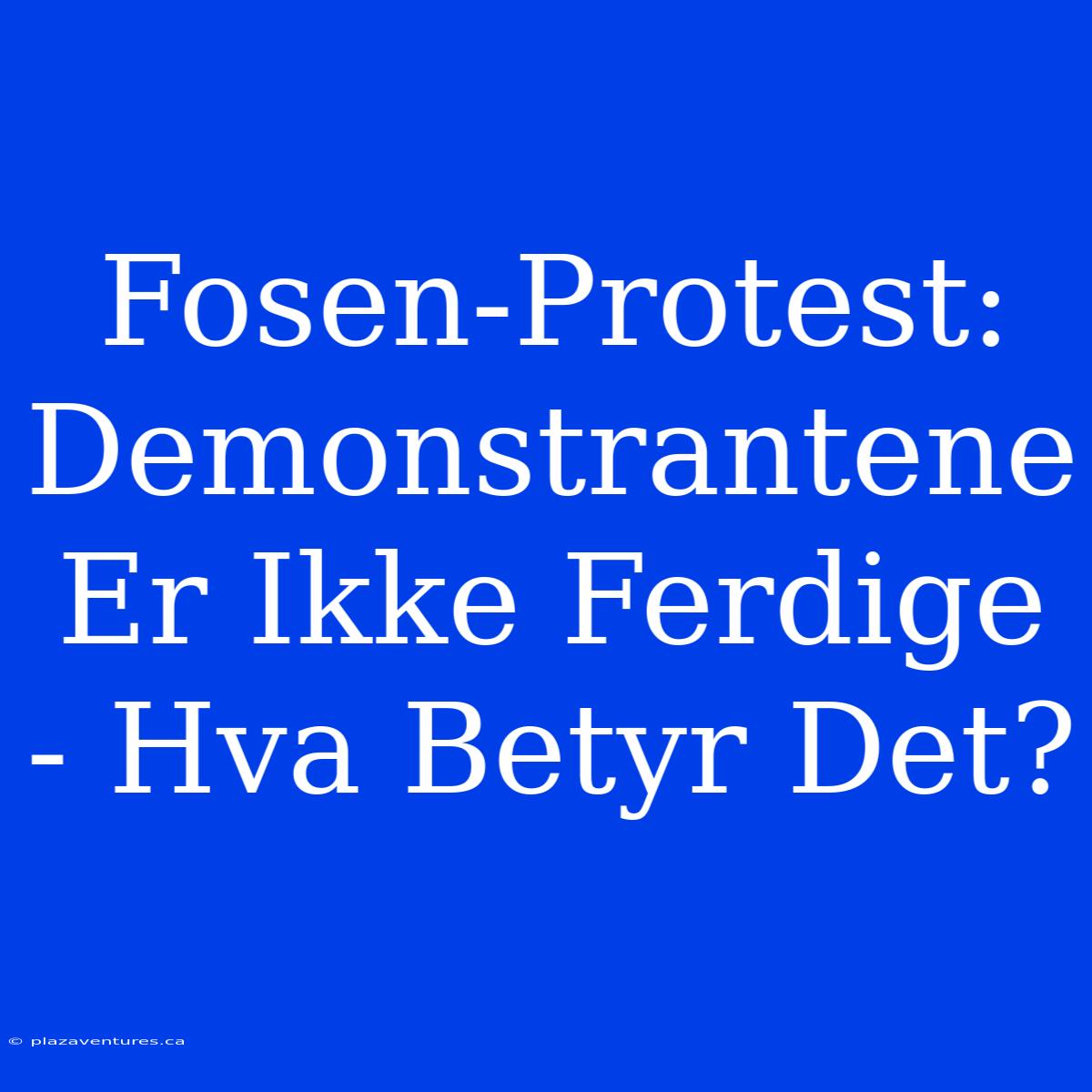 Fosen-Protest: Demonstrantene Er Ikke Ferdige - Hva Betyr Det?