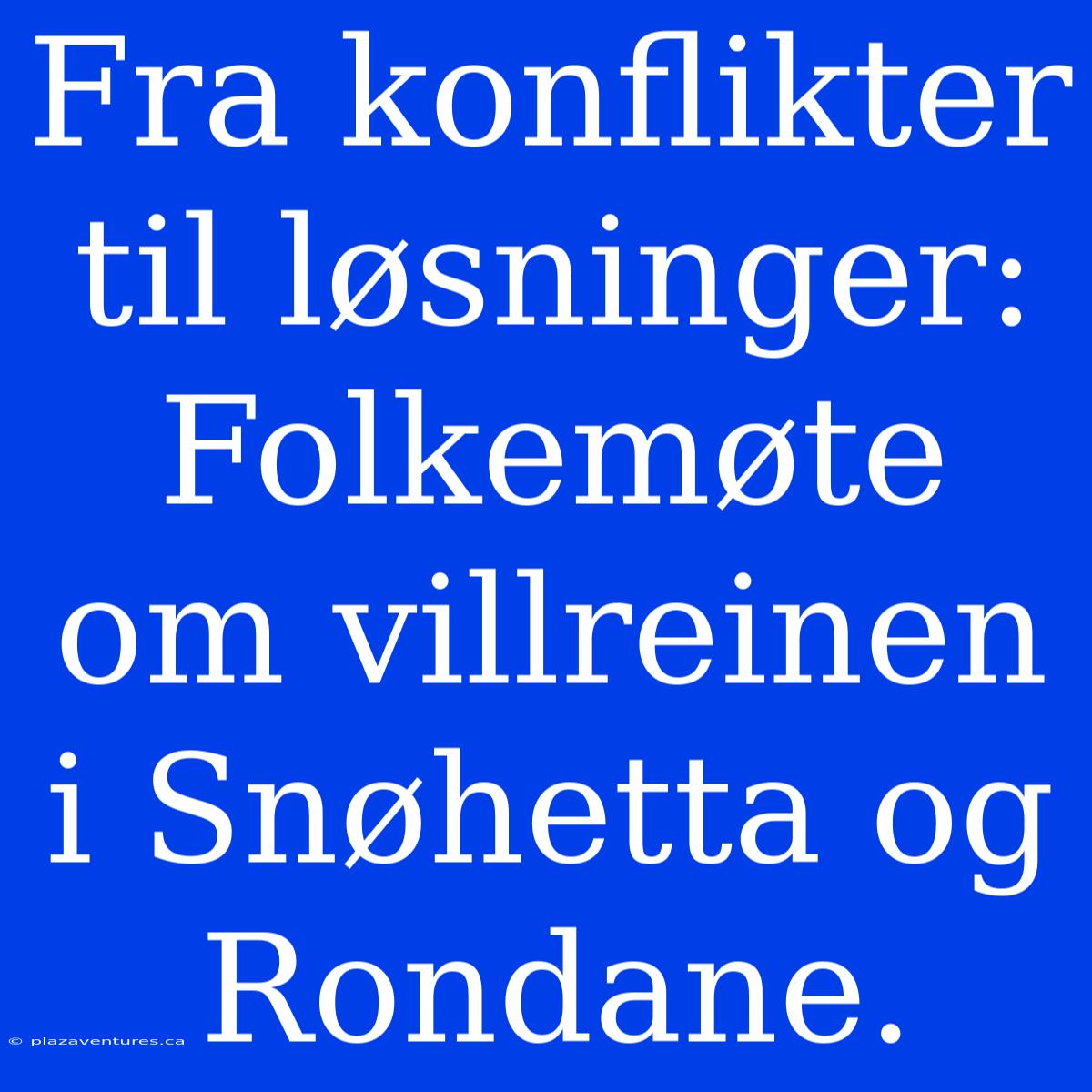 Fra Konflikter Til Løsninger: Folkemøte Om Villreinen I Snøhetta Og Rondane.