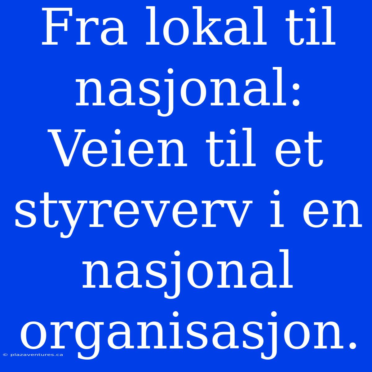 Fra Lokal Til Nasjonal: Veien Til Et Styreverv I En Nasjonal Organisasjon.