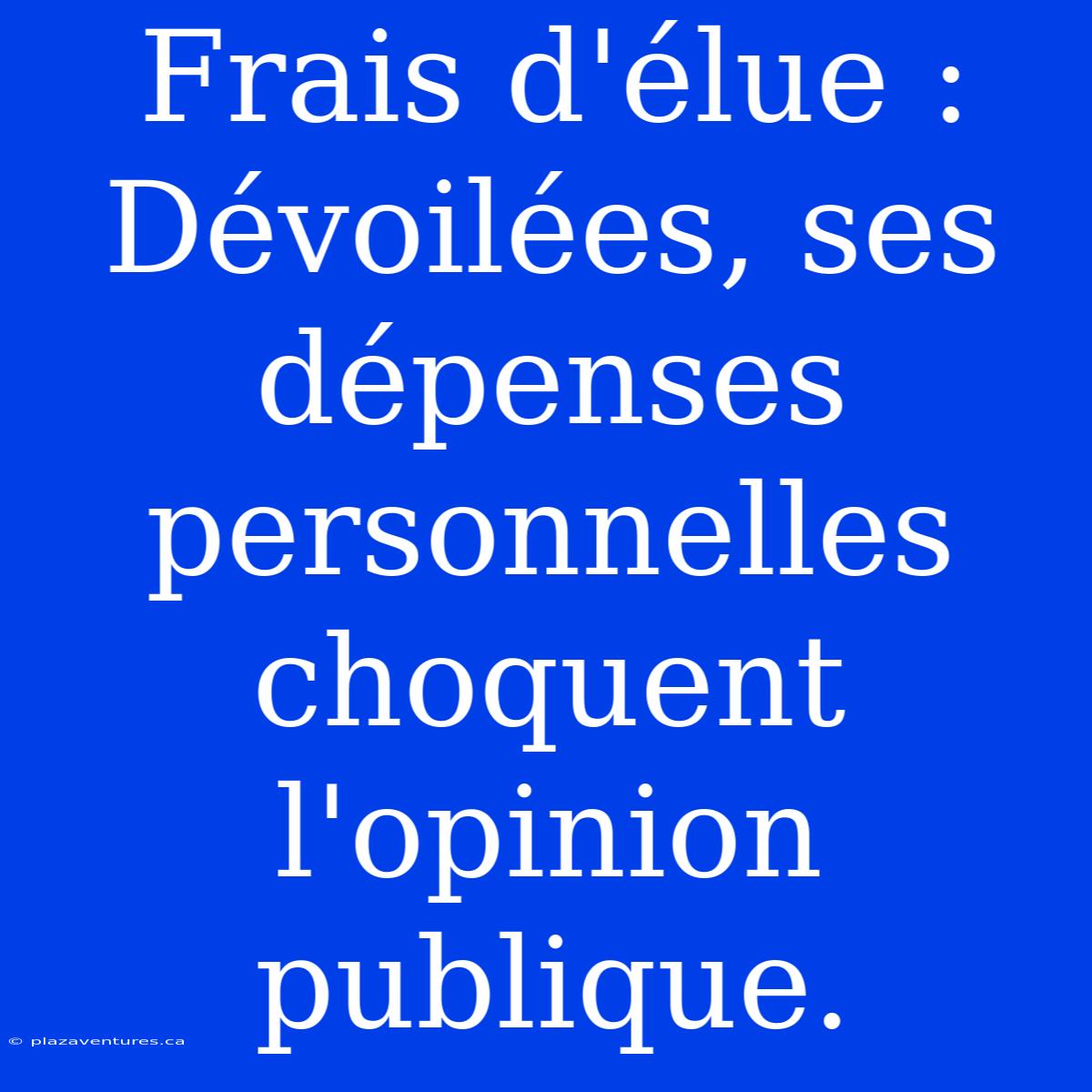 Frais D'élue : Dévoilées, Ses Dépenses Personnelles Choquent L'opinion Publique.