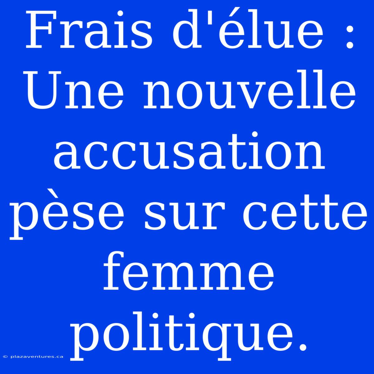 Frais D'élue : Une Nouvelle Accusation Pèse Sur Cette Femme Politique.