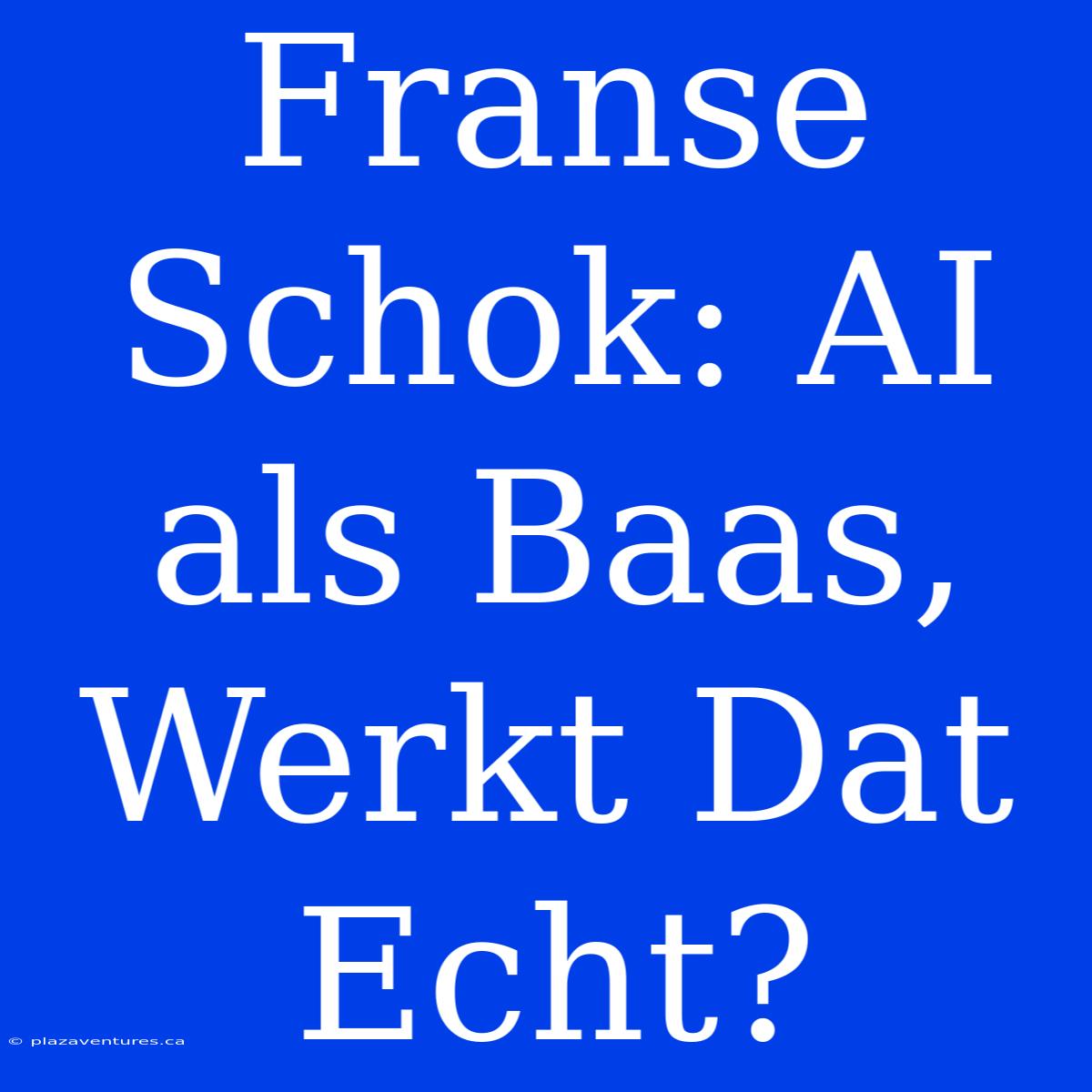 Franse Schok: AI Als Baas, Werkt Dat Echt?