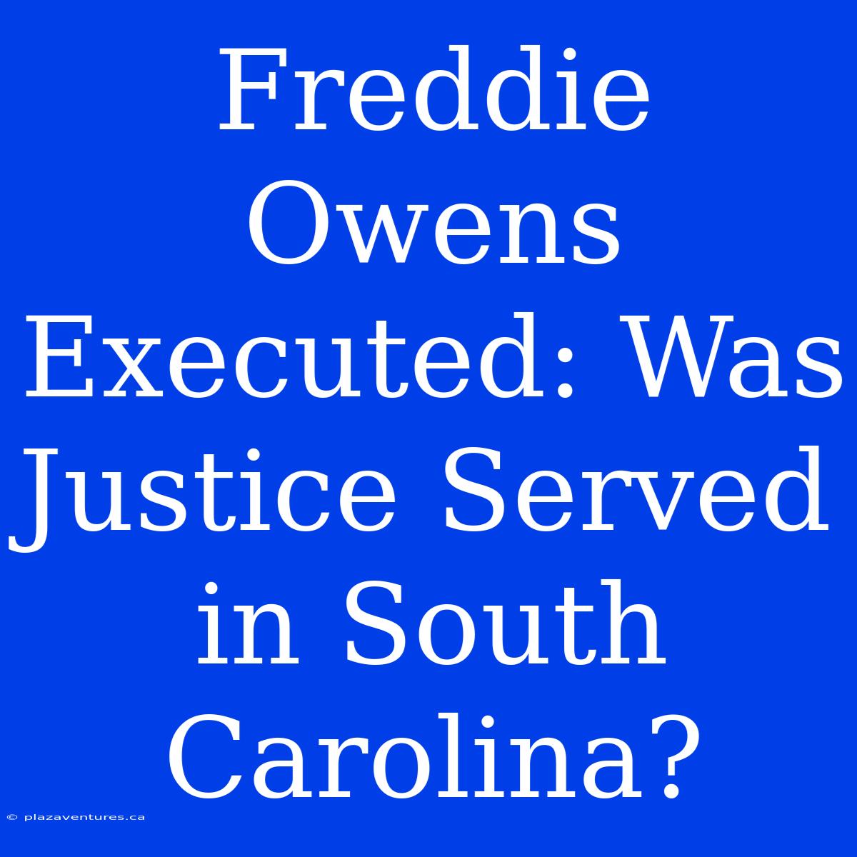 Freddie Owens Executed: Was Justice Served In South Carolina?