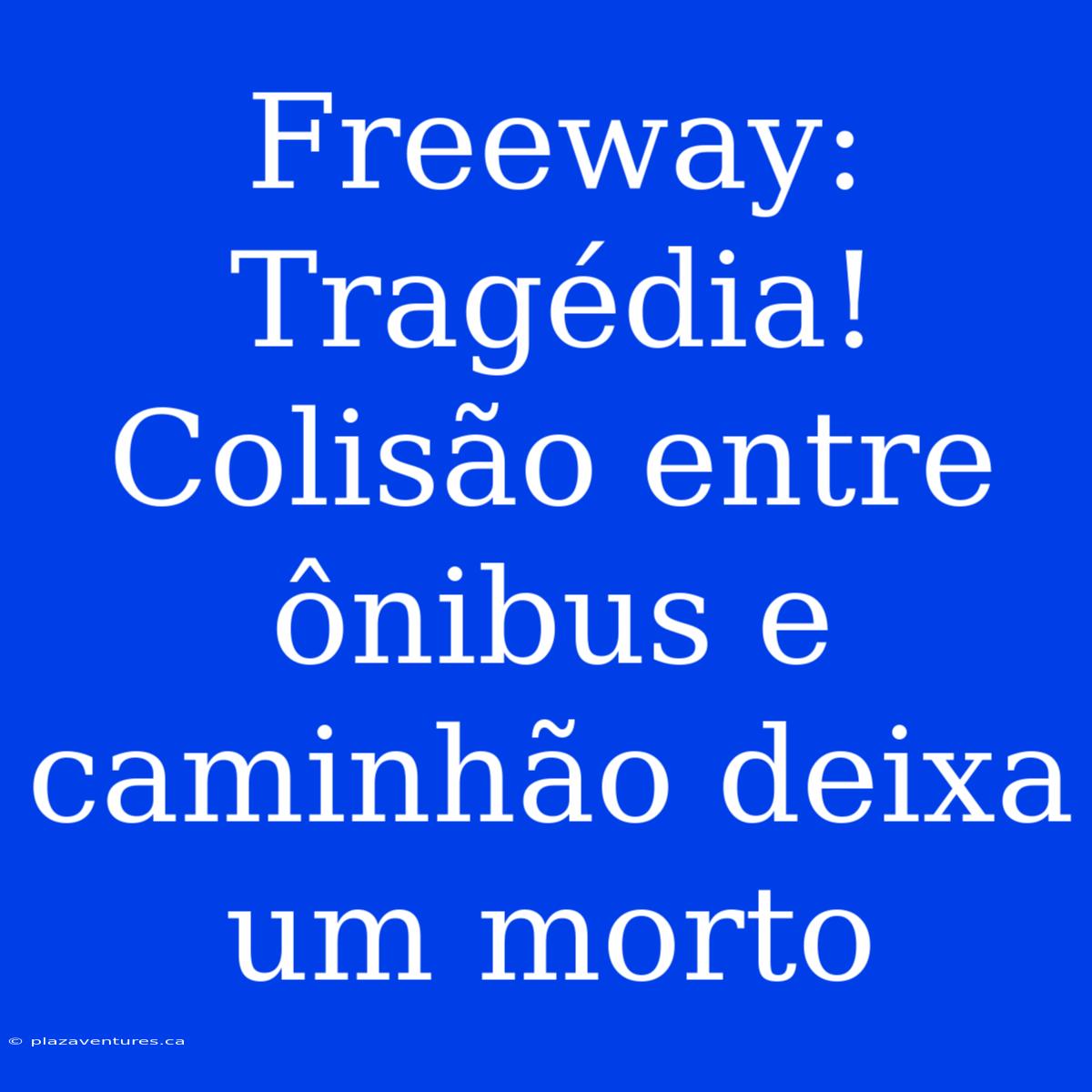 Freeway: Tragédia! Colisão Entre Ônibus E Caminhão Deixa Um Morto