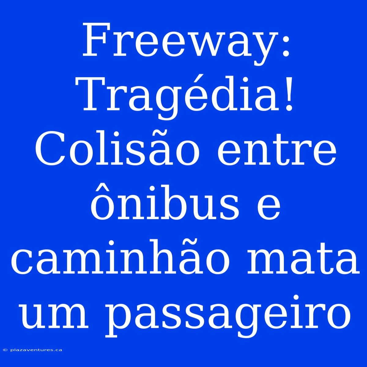 Freeway: Tragédia! Colisão Entre Ônibus E Caminhão Mata Um Passageiro