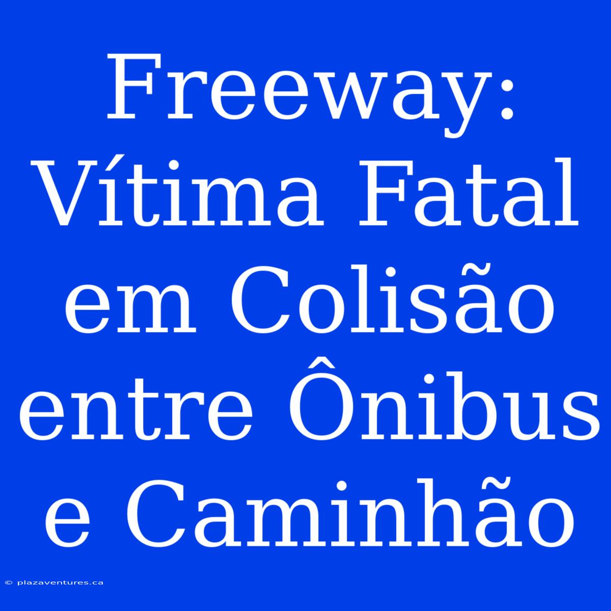 Freeway: Vítima Fatal Em Colisão Entre Ônibus E Caminhão