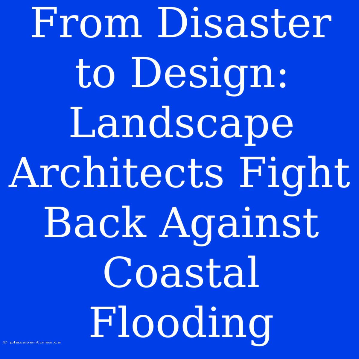 From Disaster To Design:  Landscape Architects Fight Back Against Coastal Flooding