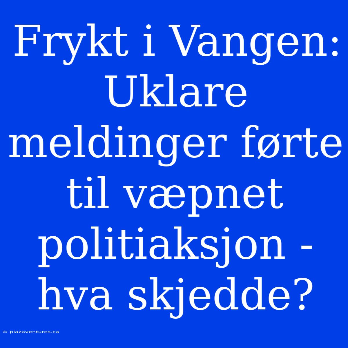 Frykt I Vangen: Uklare Meldinger Førte Til Væpnet Politiaksjon - Hva Skjedde?