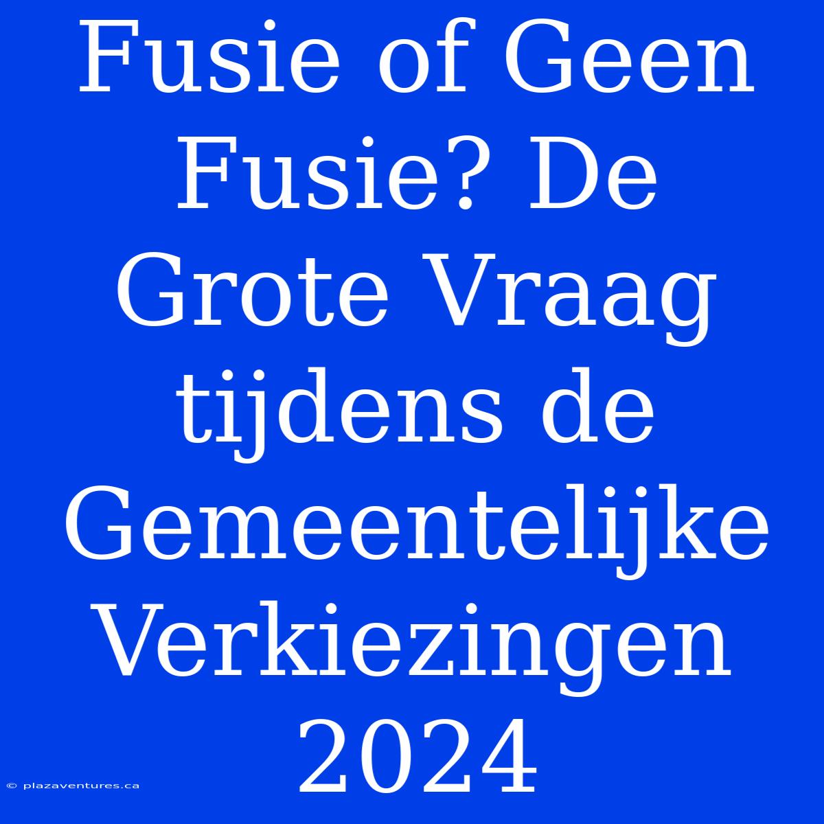 Fusie Of Geen Fusie? De Grote Vraag Tijdens De Gemeentelijke Verkiezingen 2024