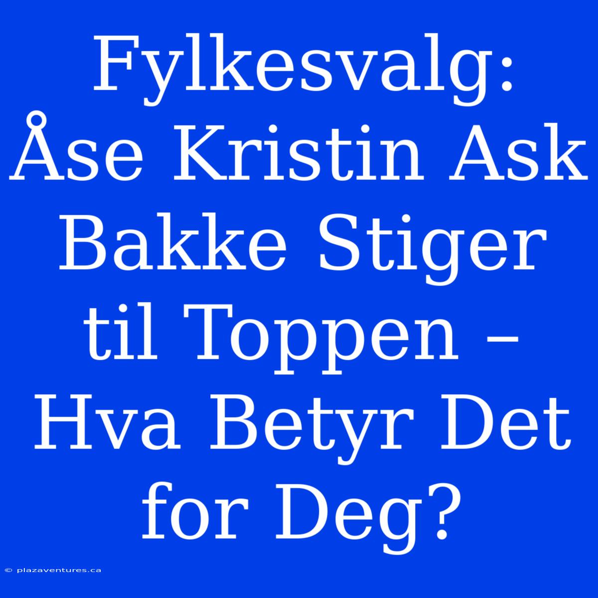 Fylkesvalg: Åse Kristin Ask Bakke Stiger Til Toppen – Hva Betyr Det For Deg?