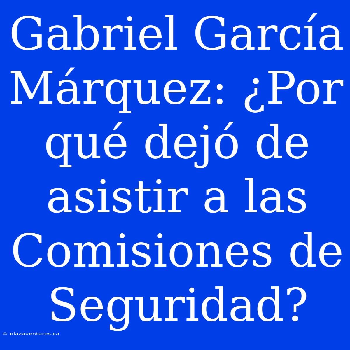 Gabriel García Márquez: ¿Por Qué Dejó De Asistir A Las Comisiones De Seguridad?