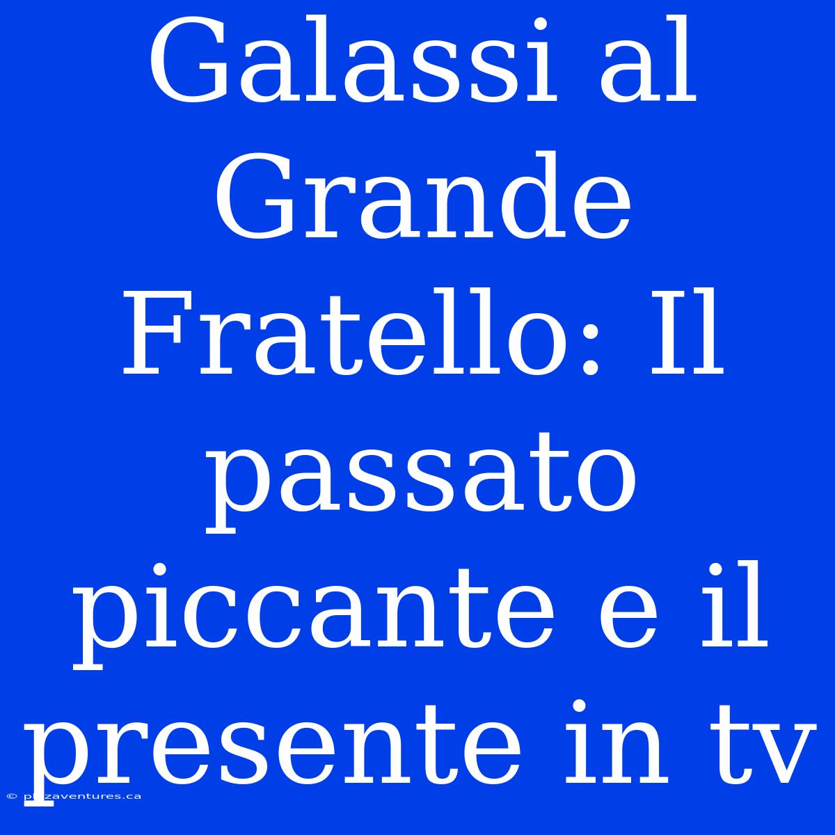 Galassi Al Grande Fratello: Il Passato Piccante E Il Presente In Tv