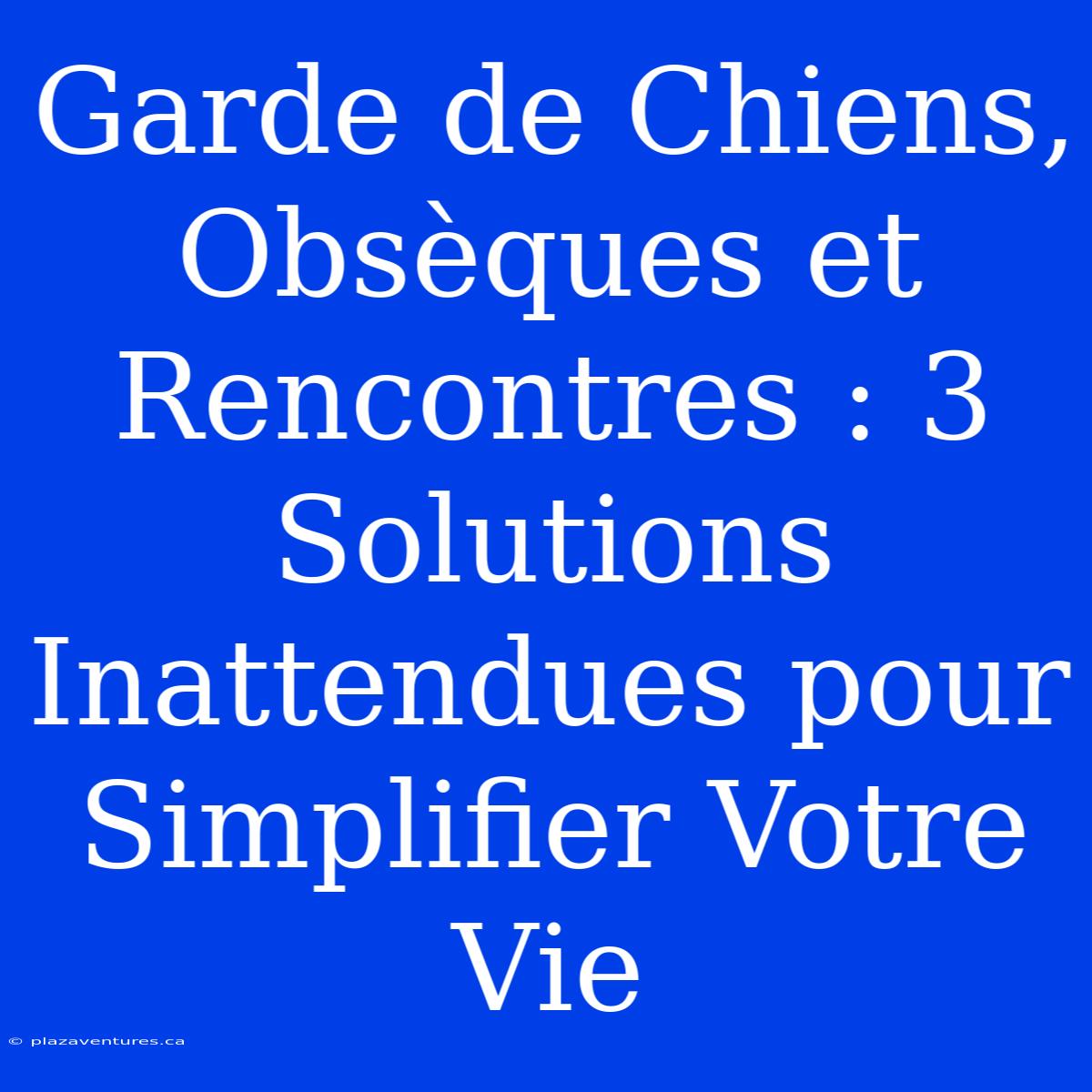 Garde De Chiens, Obsèques Et Rencontres : 3 Solutions Inattendues Pour Simplifier Votre Vie