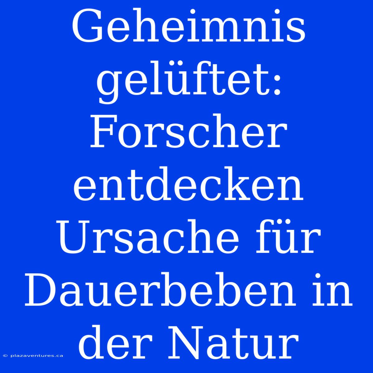 Geheimnis Gelüftet: Forscher Entdecken Ursache Für Dauerbeben In Der Natur