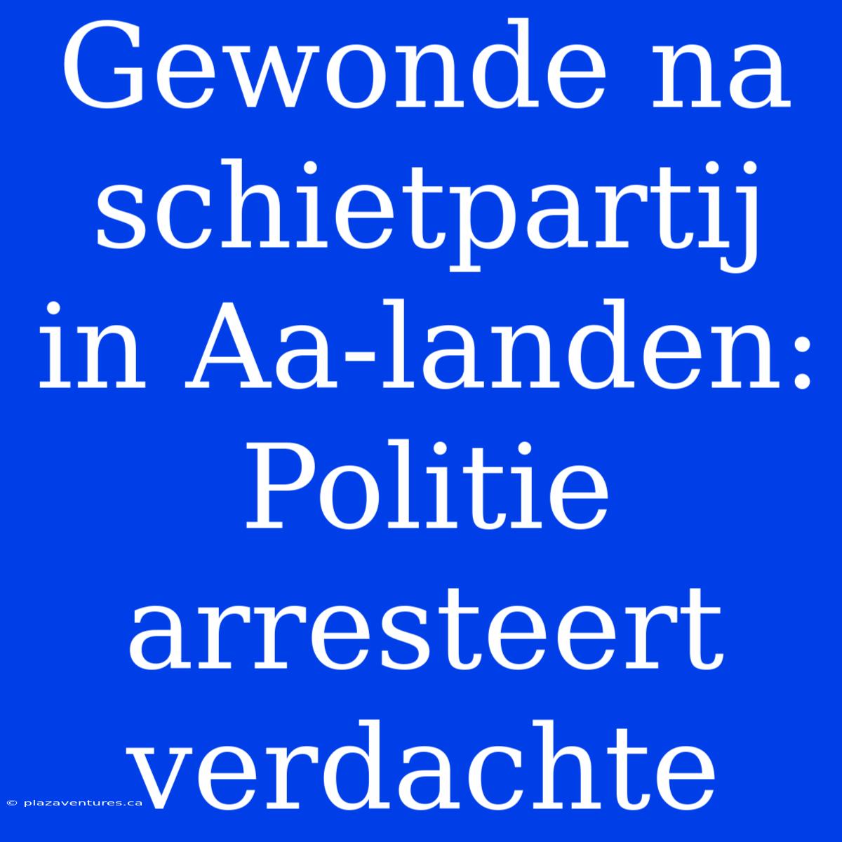 Gewonde Na Schietpartij In Aa-landen: Politie Arresteert Verdachte