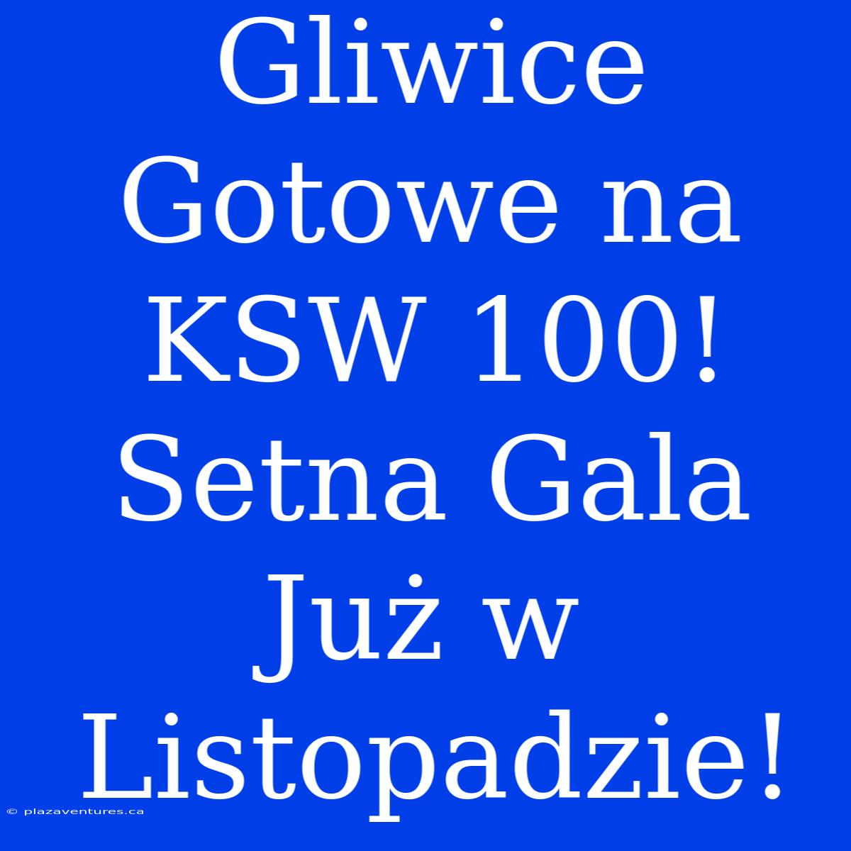 Gliwice Gotowe Na KSW 100! Setna Gala Już W Listopadzie!