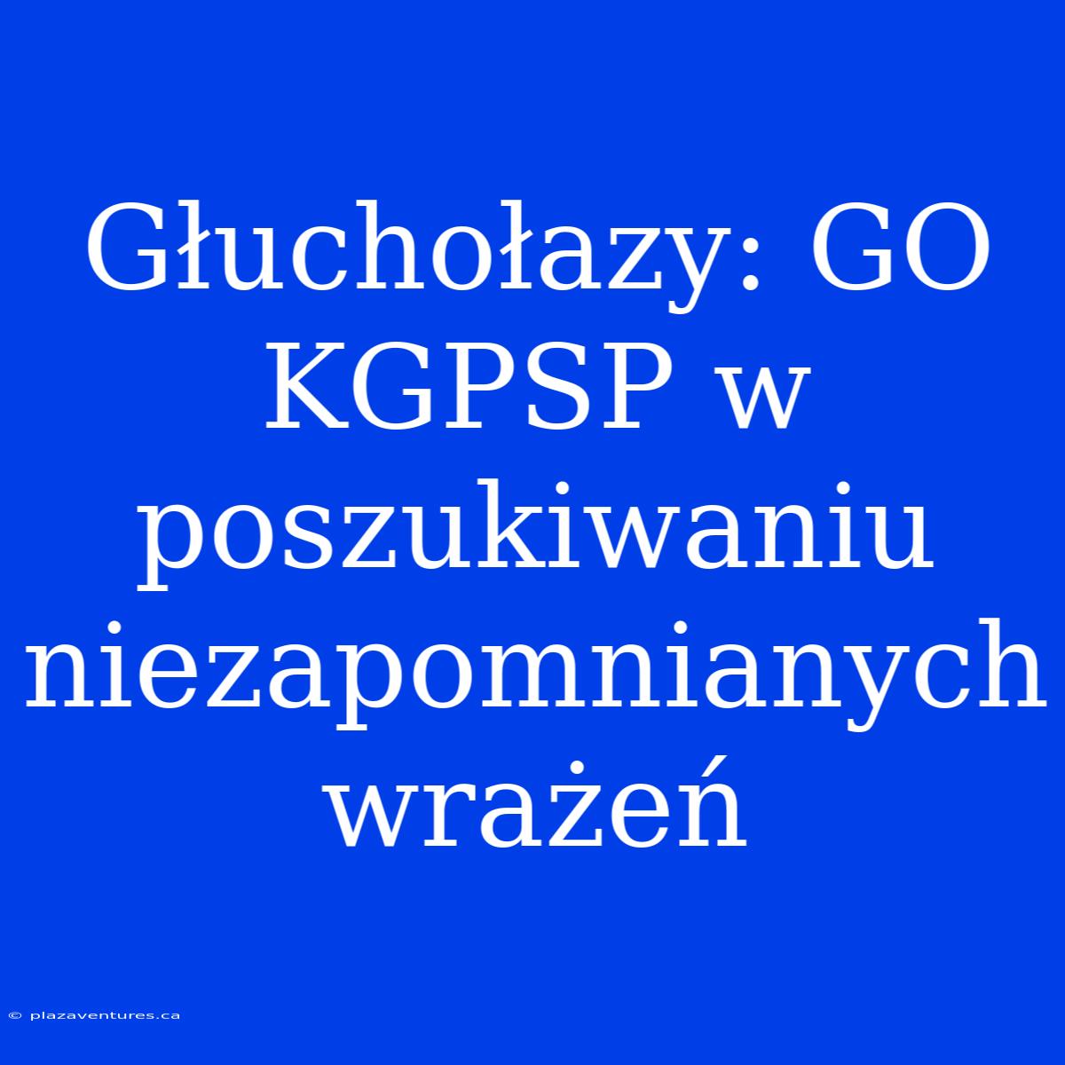 Głuchołazy: GO KGPSP W Poszukiwaniu Niezapomnianych Wrażeń