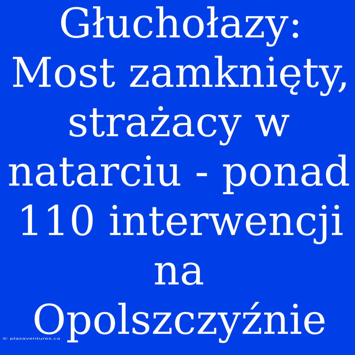 Głuchołazy: Most Zamknięty, Strażacy W Natarciu - Ponad 110 Interwencji Na Opolszczyźnie