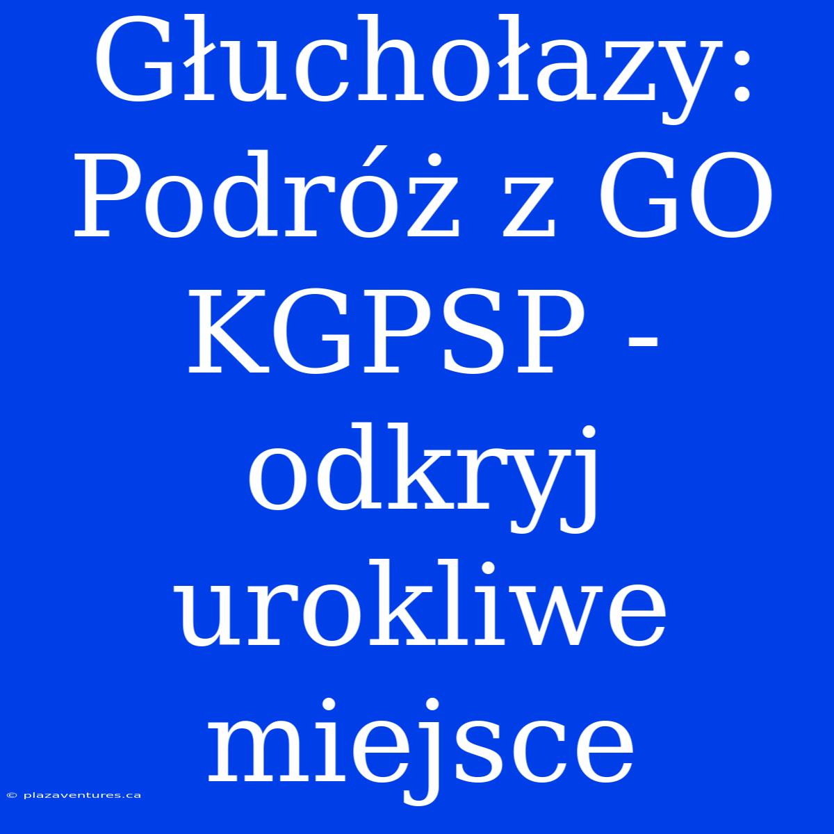 Głuchołazy: Podróż Z GO KGPSP - Odkryj Urokliwe Miejsce