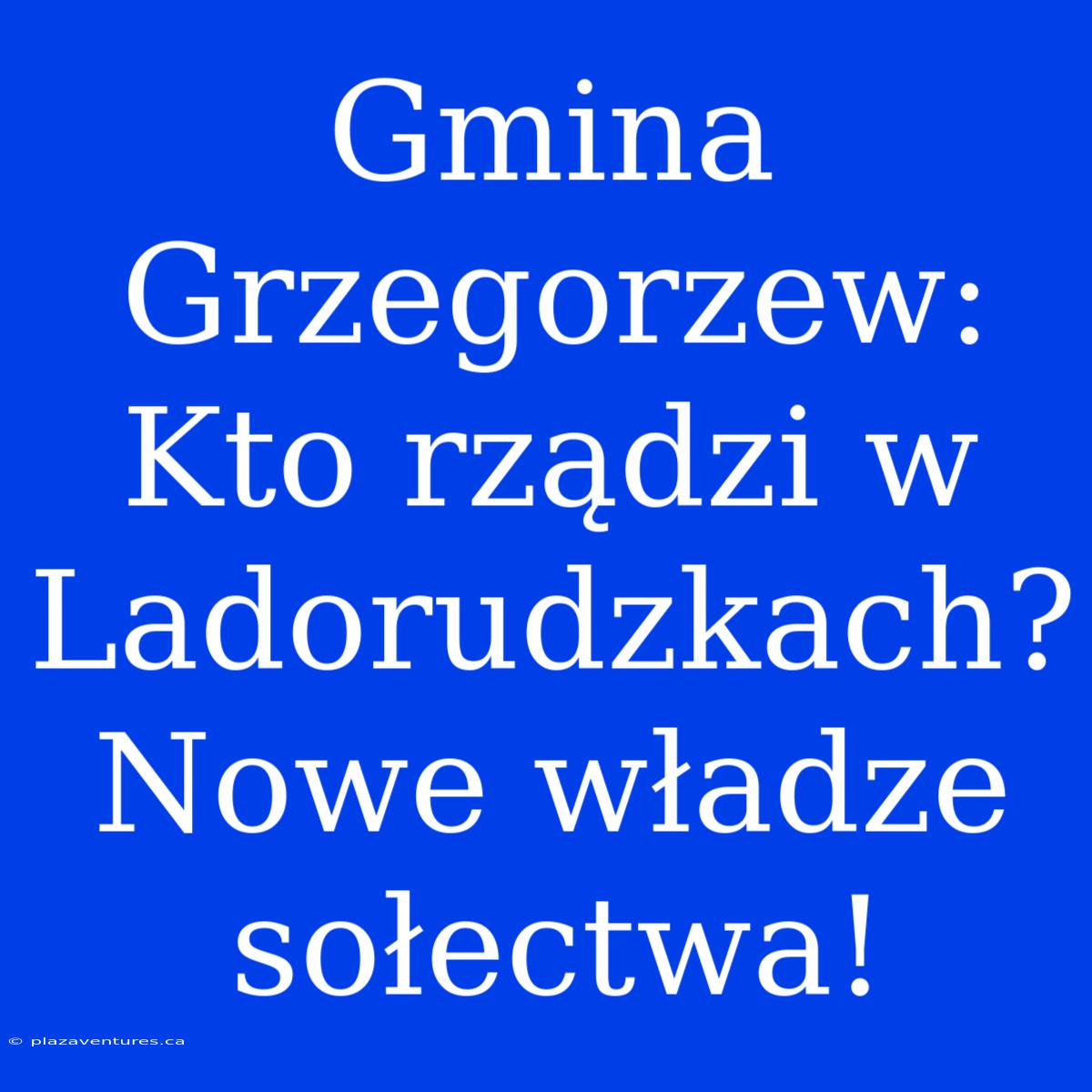 Gmina Grzegorzew: Kto Rządzi W Ladorudzkach? Nowe Władze Sołectwa!