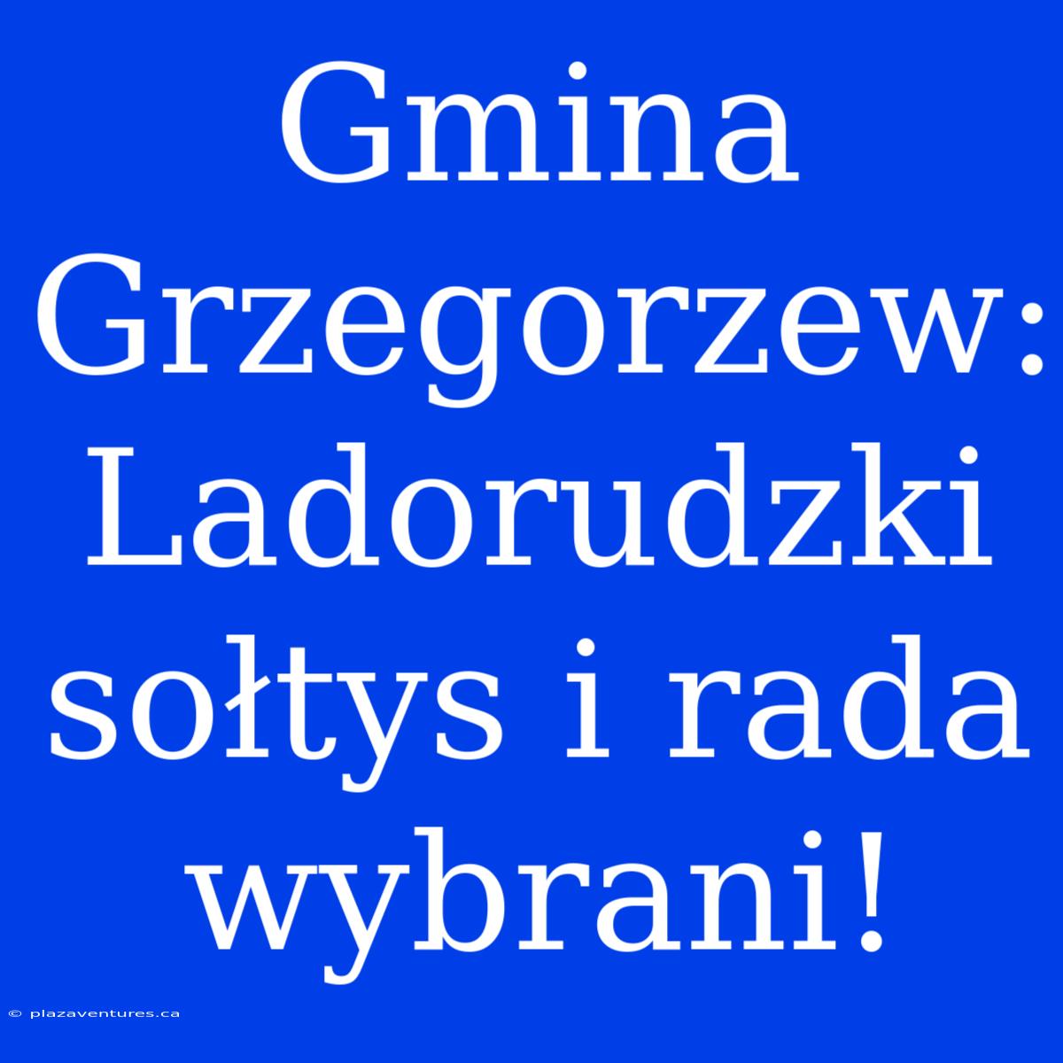 Gmina Grzegorzew: Ladorudzki Sołtys I Rada Wybrani!